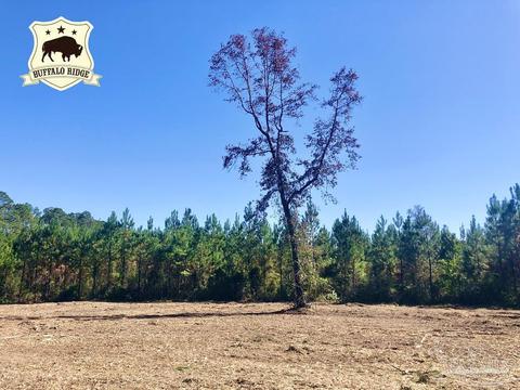 lot28 Bs Buffalo Ridge Rd, Pace, FL 32571 photo 2