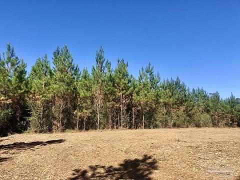 lot28 Bs Buffalo Ridge Rd, Pace, FL 32571 photo 11