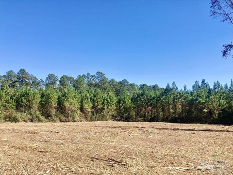 lot28 Bs Buffalo Ridge Rd, Pace, FL 32571 photo 7