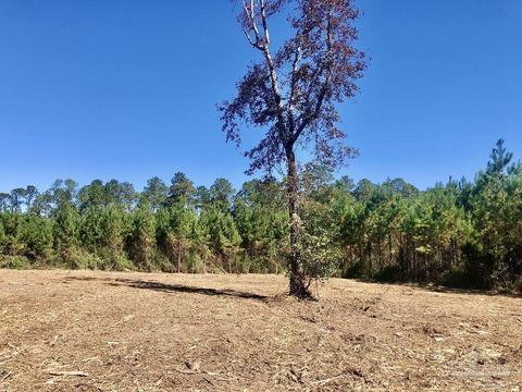 lot28 Bs Buffalo Ridge Rd, Pace, FL 32571 photo 9