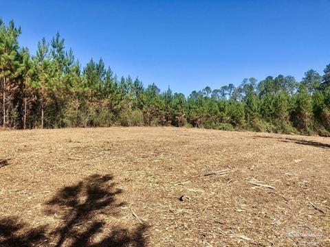lot28 Bs Buffalo Ridge Rd, Pace, FL 32571 photo 12