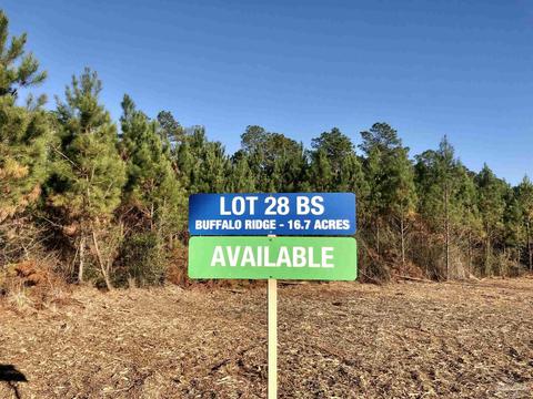 lot28 Bs Buffalo Ridge Rd, Pace, FL 32571 photo 3