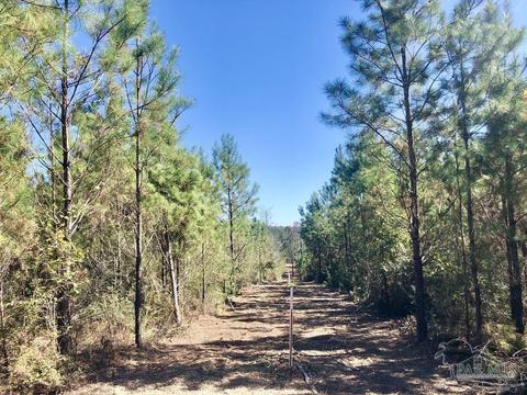 lot28 Bs Buffalo Ridge Rd, Pace, FL 32571 photo 5