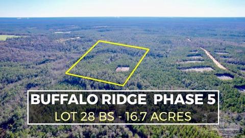 lot28 Bs Buffalo Ridge Rd, Pace, FL 32571
