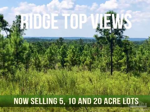 lot28 Bs Buffalo Ridge Rd, Pace, FL 32571 photo 15