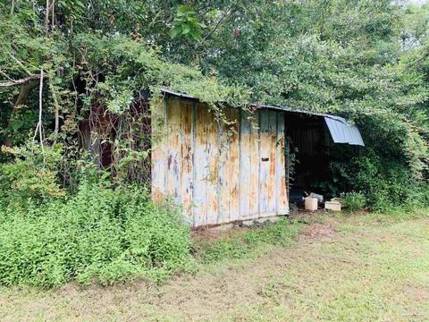 3661 Escambia Ave, Jay, FL 32565 photo 7