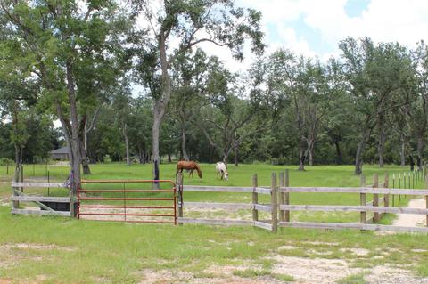 5038 Toebars Tr, Milton, FL 32583 photo 14
