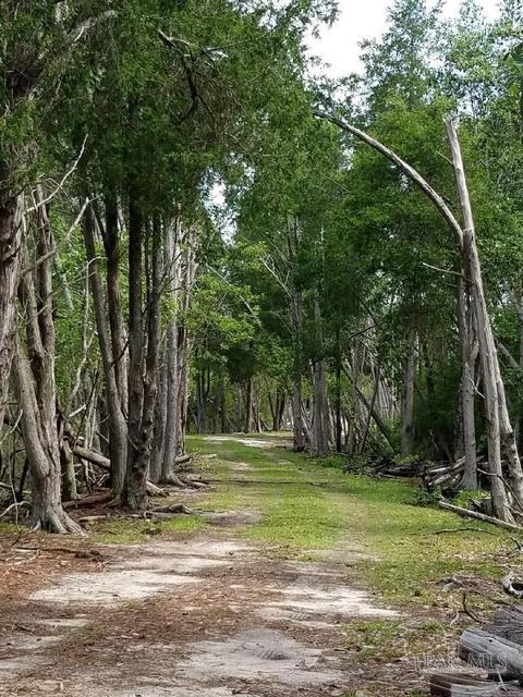 Ward Basin Rd, Milton, FL 32583 photo 6