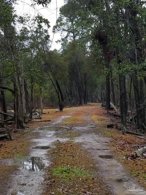 Ward Basin Rd, Milton, FL 32583 photo 13