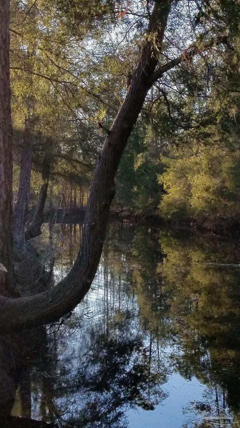 Ward Basin Rd, Milton, FL 32583 photo 16