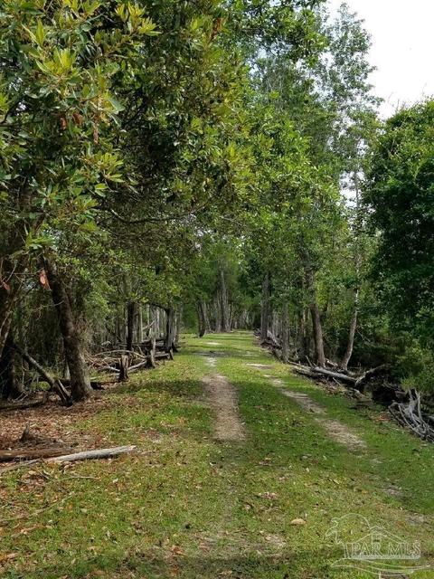 Ward Basin Rd, Milton, FL 32583 photo 3