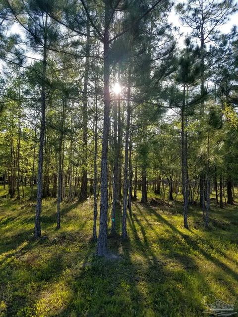 Ward Basin Rd, Milton, FL 32583 photo 14