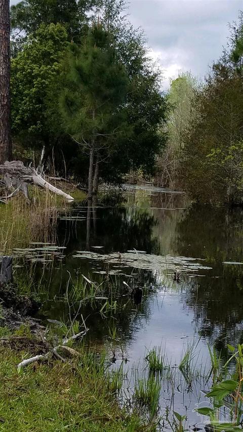 Ward Basin Rd, Milton, FL 32583 photo 15