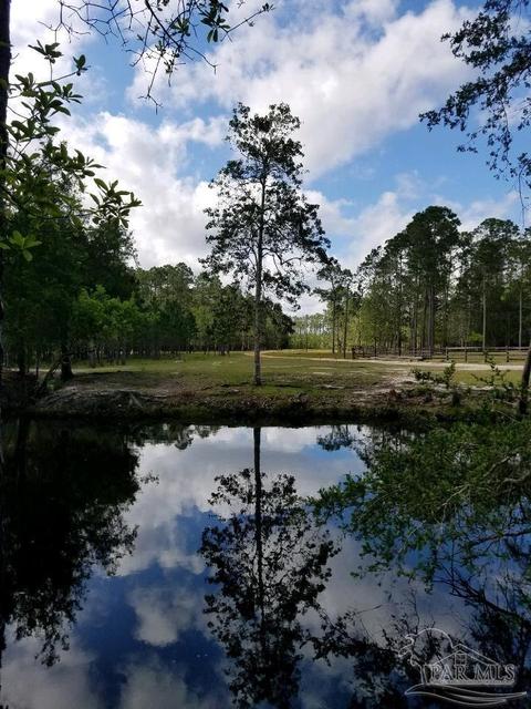 Ward Basin Rd, Milton, FL 32583 photo 17