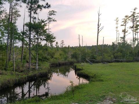 Ward Basin Rd, Milton, FL 32583 photo 8