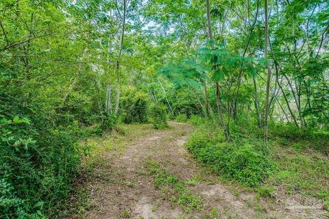 2523 Harvest Rd, Jay, FL 32565 photo 41