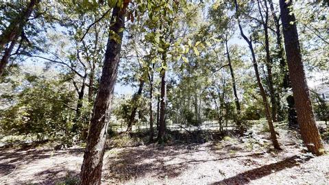 3131 Sonya St, Pace, FL 32571 photo 26