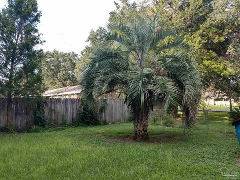 2509 Ryale Rd, Cantonment, FL 32533 photo 18