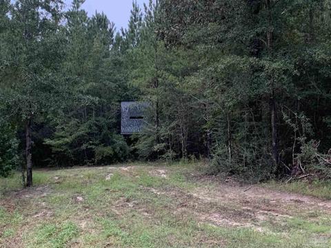 5029 Dixonville Rd, Jay, FL 32565 photo 25