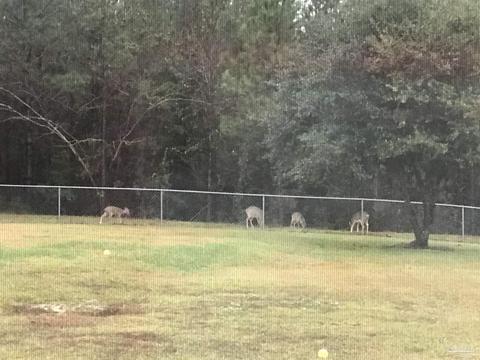 5029 Dixonville Rd, Jay, FL 32565 photo 27