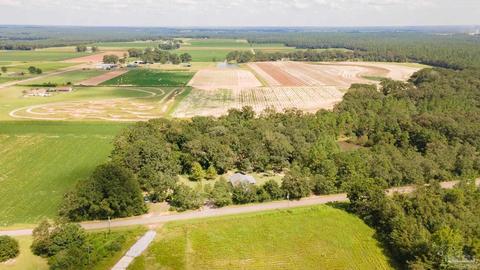 2026 Holland Town Rd, Jay, FL 32565 photo 46