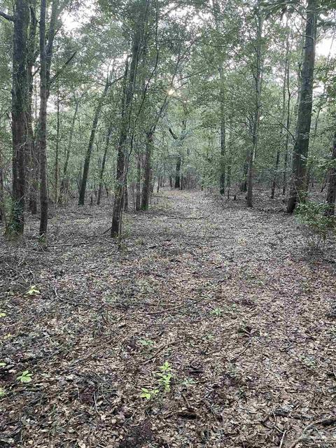 2255 Dykestown Rd, Jay, FL 32565 photo 6