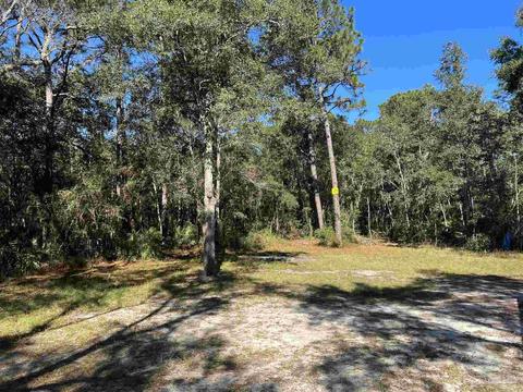 7788 Rube Pace Rd, Milton, FL 32583 photo 12