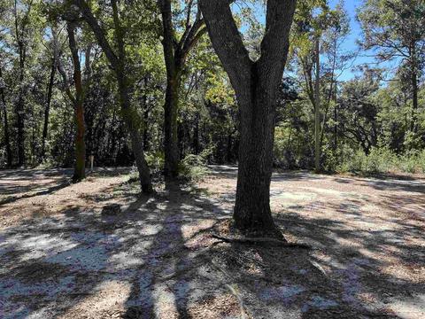 7788 Rube Pace Rd, Milton, FL 32583 photo 17