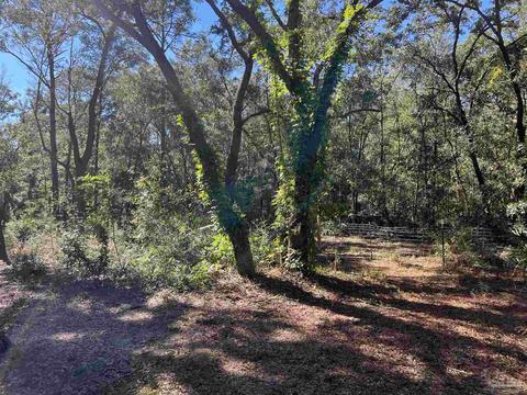 7788 Rube Pace Rd, Milton, FL 32583 photo 11