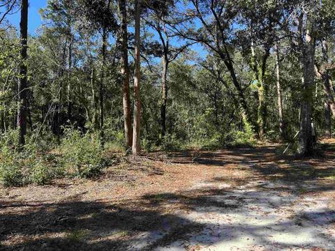 7788 Rube Pace Rd, Milton, FL 32583 photo 19