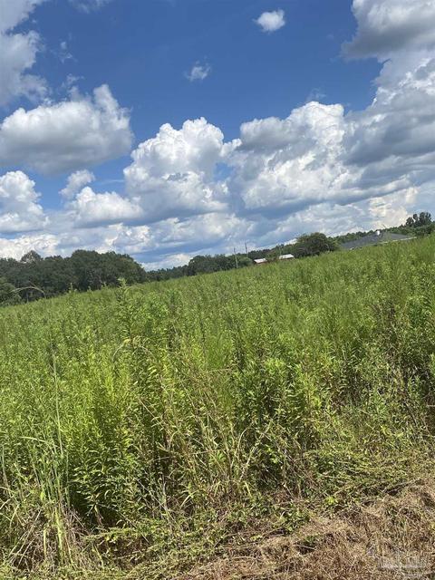 1 Zelma Wright Ln #0.83AC, Atmore, AL 36502 photo 8