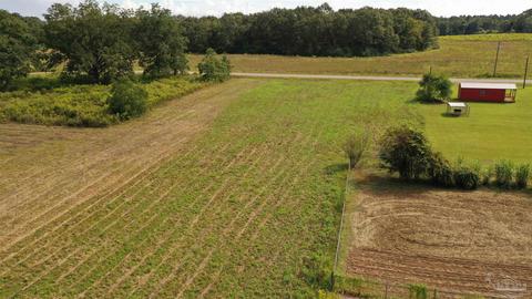 1 Zelma Wright Ln #0.83AC, Atmore, AL 36502 photo 3