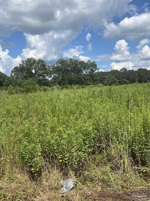 1 Zelma Wright Ln #0.83AC, Atmore, AL 36502 photo 6