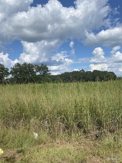 1 Zelma Wright Ln #0.83AC, Atmore, AL 36502 photo 5