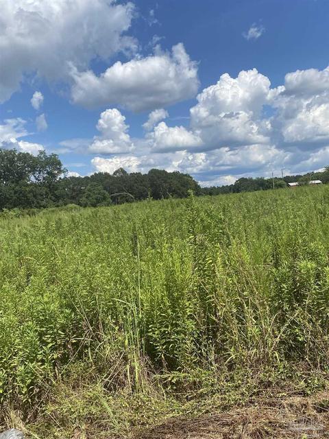 1 Zelma Wright Ln #0.83AC, Atmore, AL 36502 photo 7