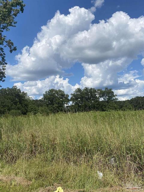1 Zelma Wright Ln #0.83AC, Atmore, AL 36502 photo 4