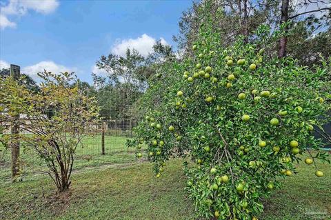 5988 Willard Norris Rd, Milton, FL 32570 photo 30