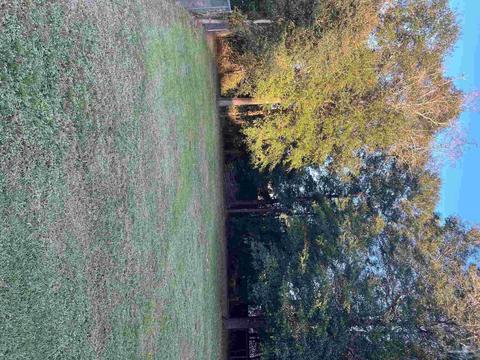 7214 Pro Ln, Milton, FL 32570 photo 5