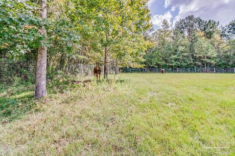 6950 Arthur Rowell Rd, Jay, FL 32565 photo 33