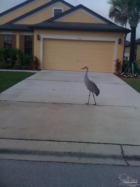 624 Dryden Cir, Cocoa, FL 32926 photo 27