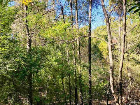 4254 Rice Rd, Milton, FL 32583 photo 13