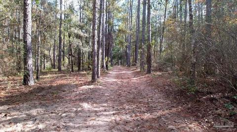7111 Circle Rd, Mcdavid, FL 32568 photo 46