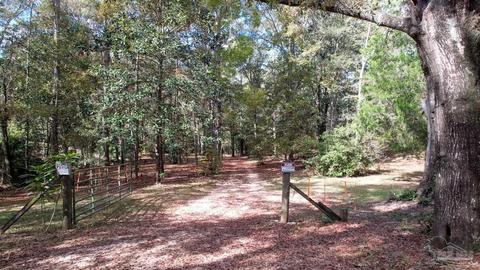 7111 Circle Rd, Mcdavid, FL 32568 photo 47