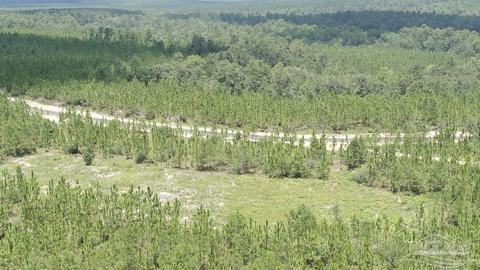lot9 SW Waterfall St, Pace, FL 32571 photo 4