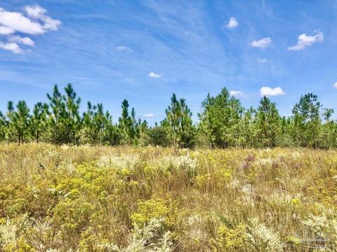 lot9 SW Waterfall St, Pace, FL 32571 photo 6