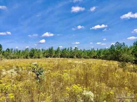 lot9 SW Waterfall St, Pace, FL 32571 photo 8
