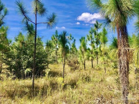 lot9 SW Waterfall St, Pace, FL 32571 photo 11