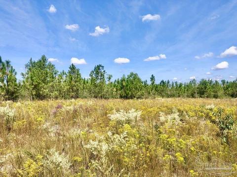 lot9 SW Waterfall St, Pace, FL 32571 photo 7
