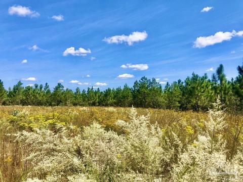 lot9 SW Waterfall St, Pace, FL 32571 photo 10