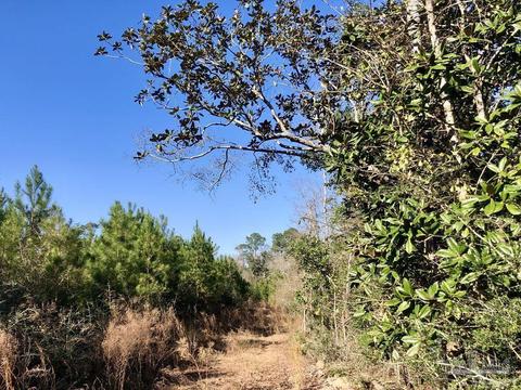 lot17 SW Bashi Rd, Pace, FL 32571 photo 25